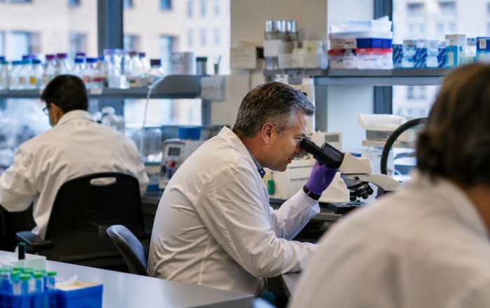 Bağırsaqdakı bakteriyalar Alzheimer riskini artıra bilər