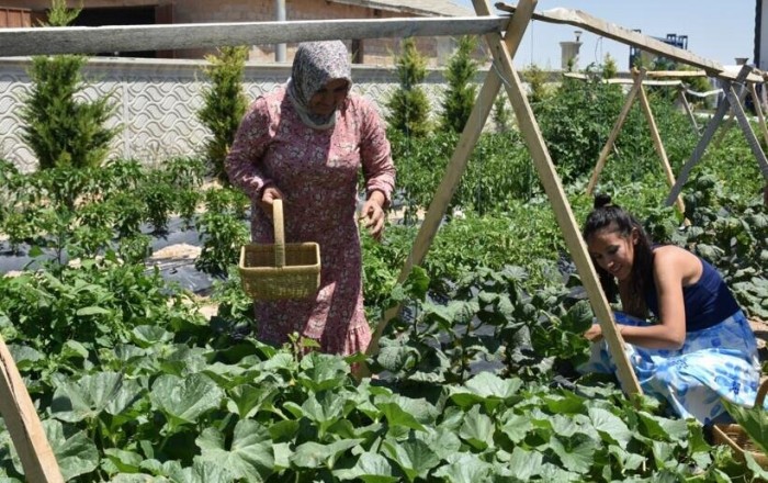Bu oteldə qalanlar pul ödəmir, bağ işlərinə kömək edirlər - Foto
