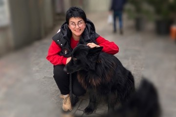 Sizin də küçədə itlər adamlardan çoxdur?