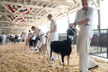 Petting zoo visitors warned after disturbing discovery involving baby goats
