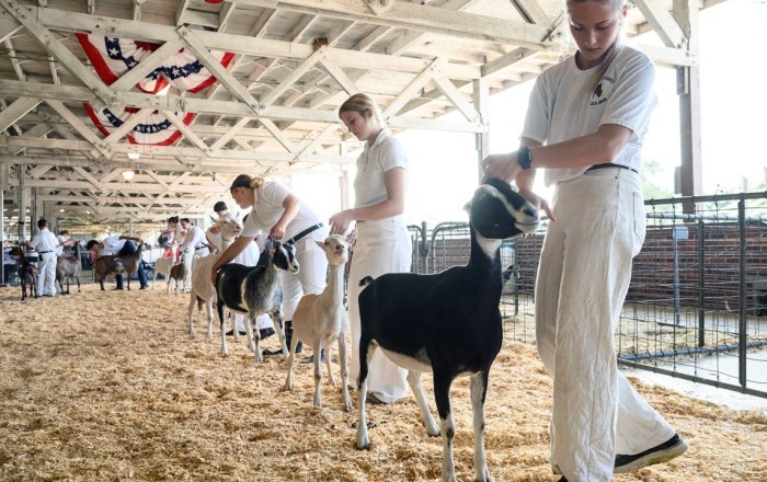 Petting zoo visitors warned after disturbing discovery involving baby goats