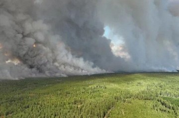 Turkiye identifies 43 suspects in forest fire cases