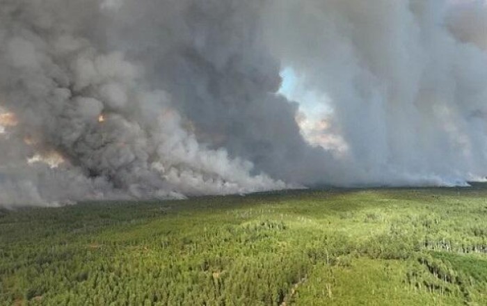 Turkiye identifies 43 suspects in forest fire cases
