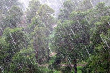 Rain expected in Azerbaijan on August 30