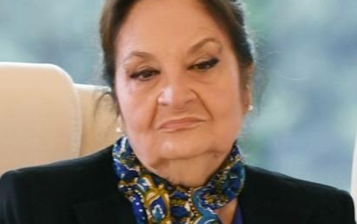 Şəfiqə Məmmədovaya bu səlahiyyətlər verildi