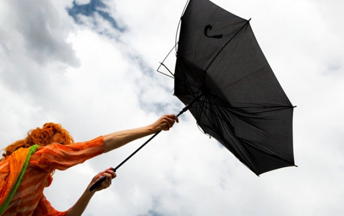 Dünənki güclü küləyə görə 2 qadın xəsarət alıb