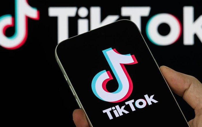 Şərur sakini "tiktok"da ilk paylaşımını etdi -