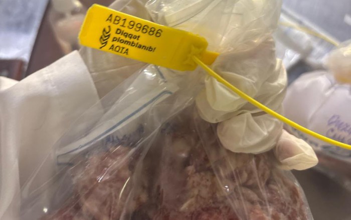 Bakıda kabab evində farşdan at DNT-si çıxdı - Fotolar