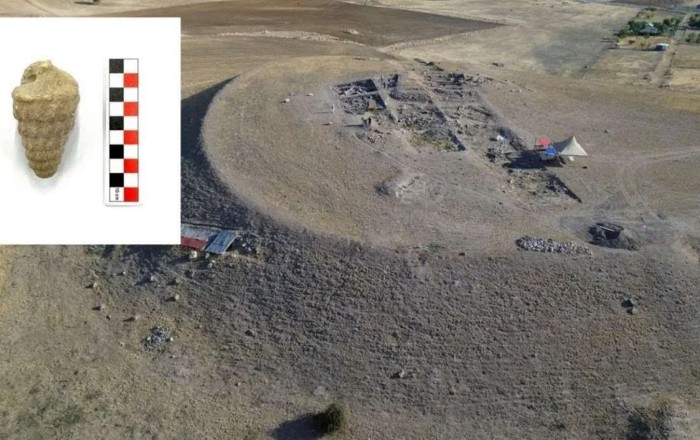 Türkiyədə inanılmaz tapıntı: 66 milyon yaşı var -   - Fotolar