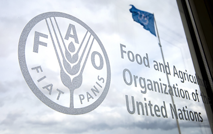 FAO, Turkmenistan sign cattle breeding development agreement