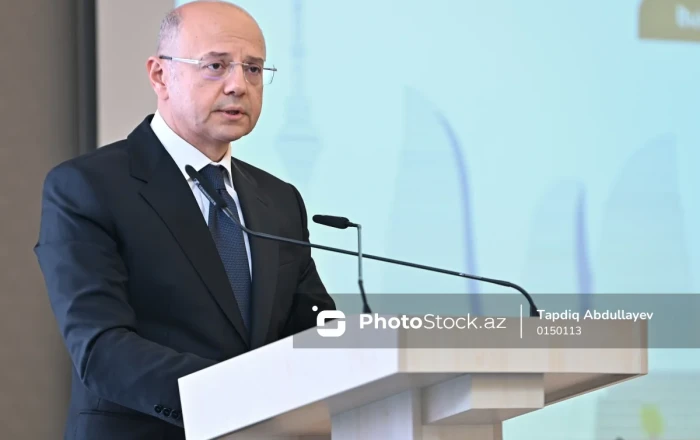 Pərviz Şahbazov: "Qalıq yanacaqlardan tələsik uzaqlaşmaq uğurlu enerji keçidi demək deyil"