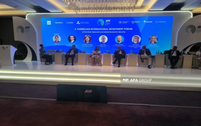 AzerGold раскрыл планы по созданию регионального центра критических минералов