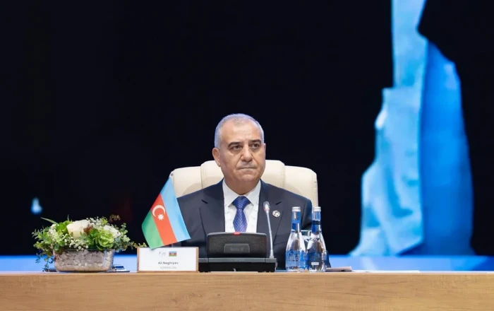 Əli Nağıyev: "Ənənəvi mexanizmlər yeni təhdidlərə çevik cavab verə bilmir"