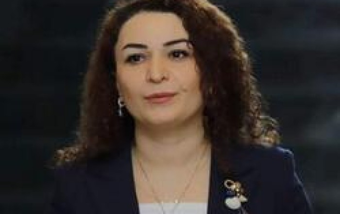 Keçmiş deputat vəzifədən azad edildi