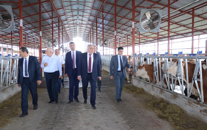 Kürdəmirdə aqroparklarda və iri fermer təsərrüfatlarında monitorinq -