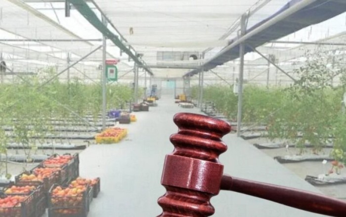 Azərbaycanda məşhur şirkət CƏRİMƏLƏNDİ