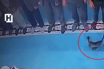Məsciddə namaz vaxtı pişiyi təpiklədi, həbs olundu -