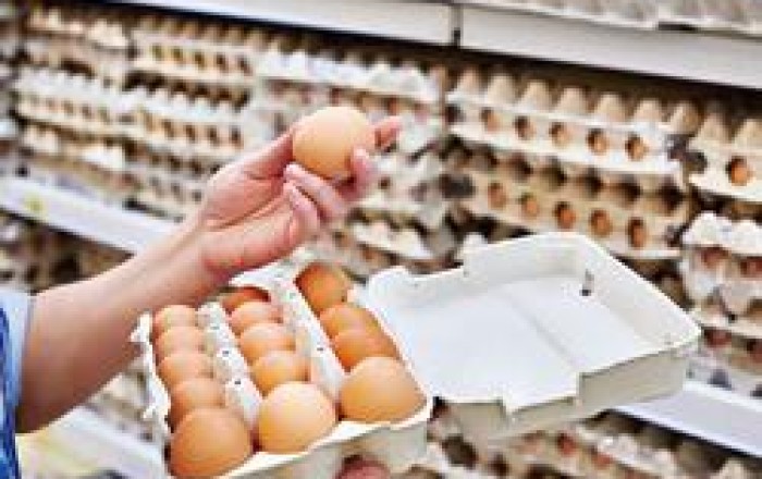 ABŞ-də yumurtada salmonella epidemiyası tapıldı