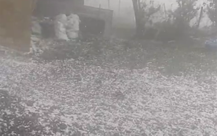 Tovuza elə dolu düşdü ki... - Video