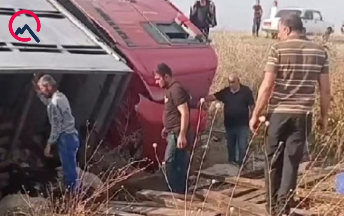 Sürücü yuxulayıb maşını aşırdı - Heyvanlar tələf oldu