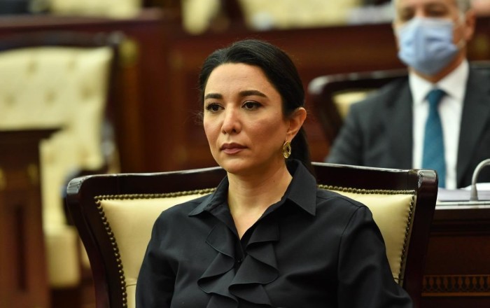Səbinə Əliyeva: “Ermənistanlı hüquq müdafiəçisinin iddiaları əsassız və qərəzlidir”