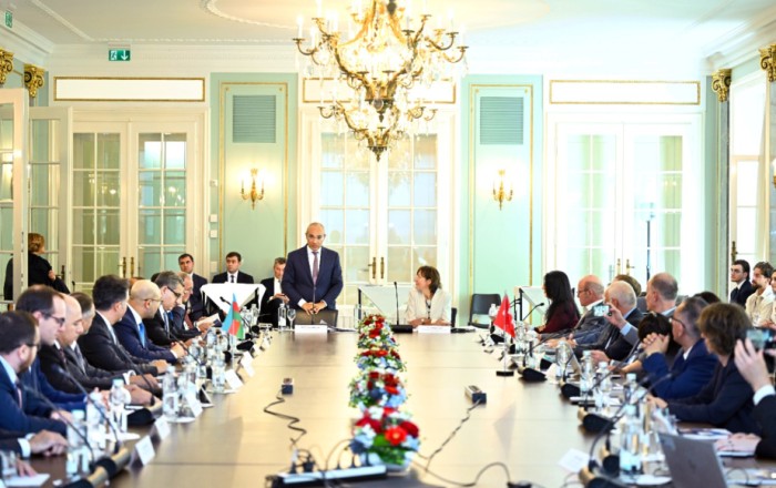 Minister of Economy: Azerbaijan's green energy potential creates new cooperation opportunities for Swiss companies