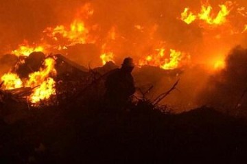 В Шамкире произошел пожар в теплице