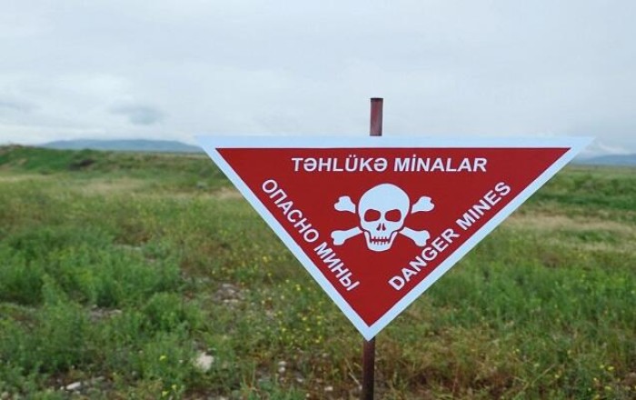 Minatəmizləyənlərin ailələrinə müavinət təyini qaydaları təsdiqləndi