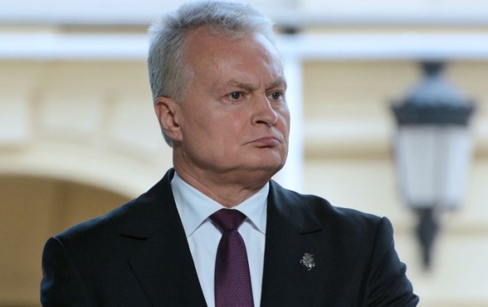 Президент Литвы заявил, что сбитый в стране дрон был российским