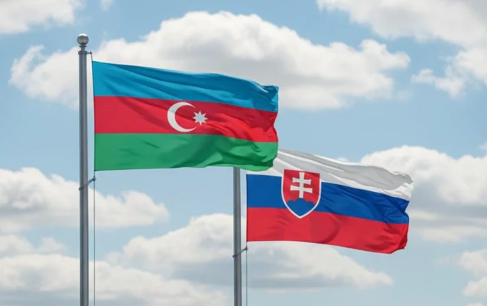 Azərbaycanla Slovakiya məxfi məlumatın mübadiləsi və qarşılıqlı mühafizəsini həyata keçirəcək