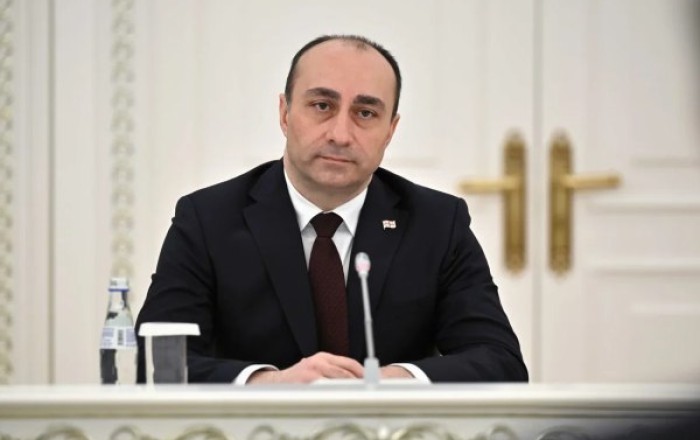 Gürcüstan xüsusi xidmət orqanının rəhbəri istefa verdi