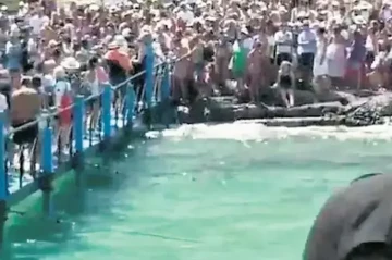 Sosial media paylaşımları turizm xaosu yaratdı: Cənnət cəhənnəmə çevrildi