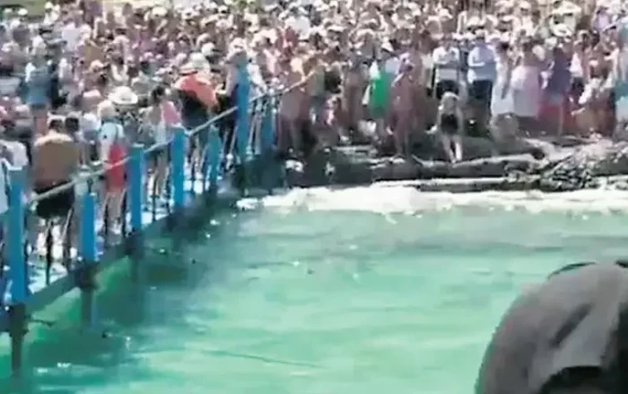 Sosial media paylaşımları turizm xaosu yaratdı: Cənnət cəhənnəmə çevrildi