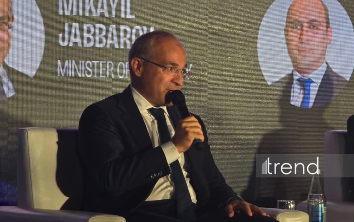 Azərbaycan iqtisadiyyatının mürəkkəbliyini artırmaq əsas hədəfimizdir - Mikayıl Cabbarov