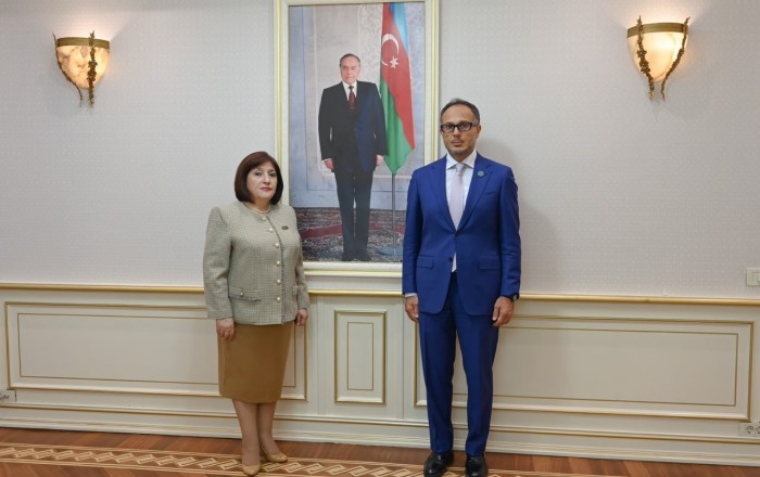 Azerbaijan parliament speaker meets TURKPA secretary general
