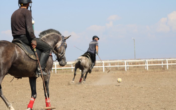 What we do not know about “Dilbaz” horses: They get accustomed to their owners from foalhood – report from Agstafa