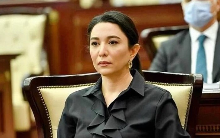 “Erməni əsilli məhbuslarla bağlı yayılan xəbərlər qərəzli siyasi məqsəd daşıyır” -