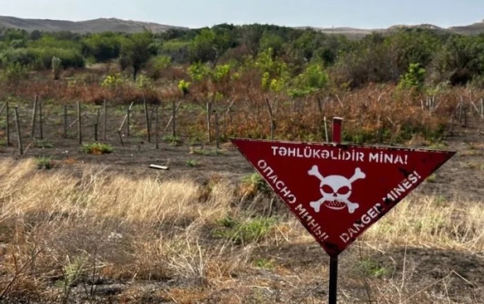 Ötən ay nə qədər ərazi minalardan təmizlənib?