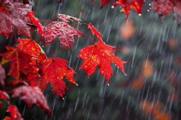 Yağıntılı hava nə vaxtadək davam edəcək?