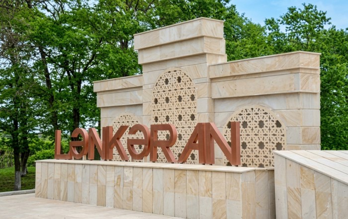 Lənkəranda ana və 3 yaşlı övladının bıçaqlanmasının