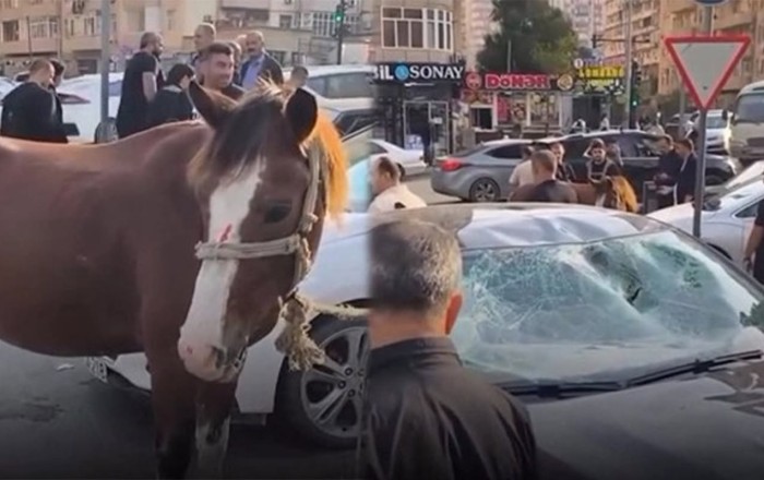 Bakıda maşın atla toqquşdu - Video
