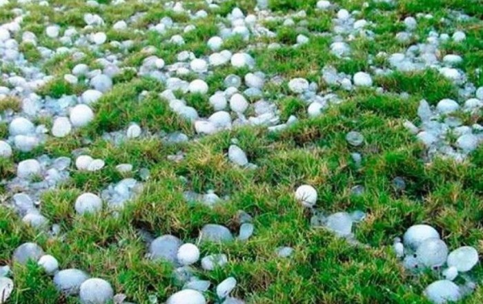 Sədərək rayonuna güclü dolu yağdı