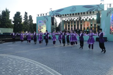 “Zeytun Festivalı”nın yallısı - Video
