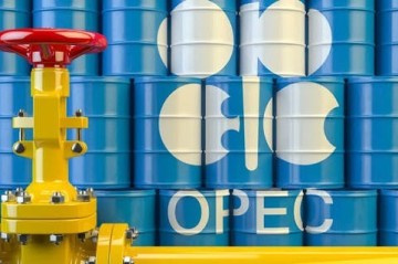 ОПЕК призвала учитывать реальный спрос при переходе к чистой энергетике