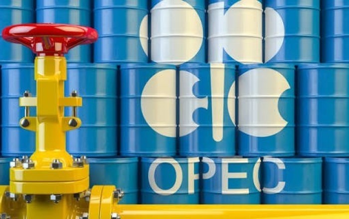 ОПЕК призвала учитывать реальный спрос при переходе к чистой энергетике