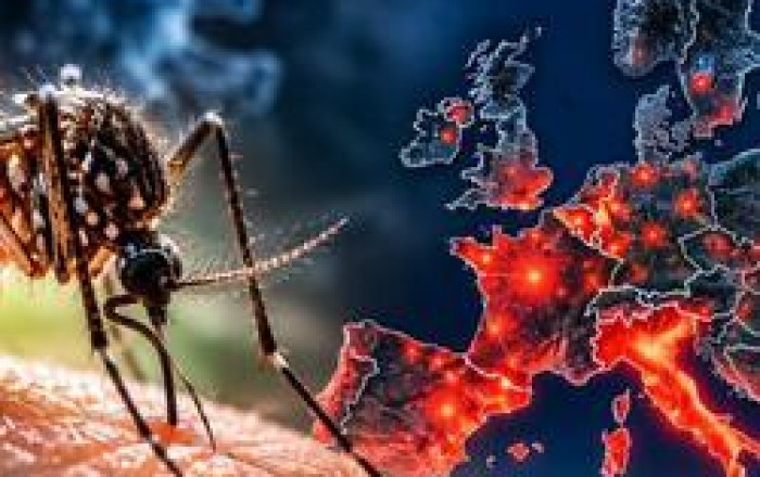 Avropada təhlükəli virus yayılır -