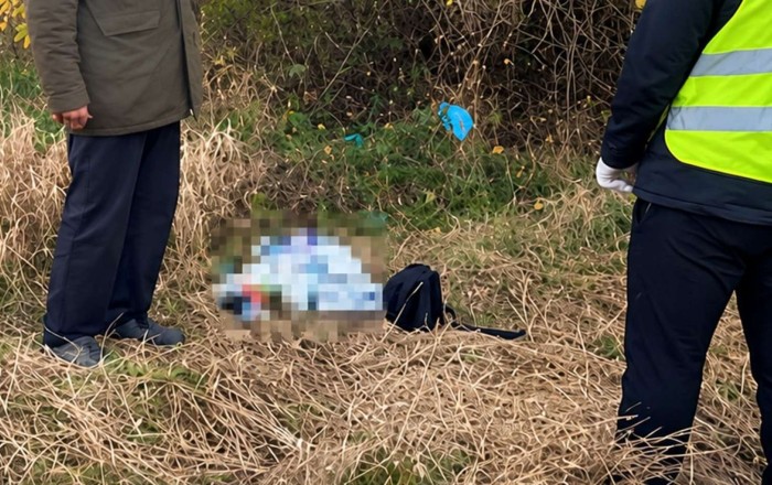 Qonşunu öldürüb həyətdə basdırmışdılar   - Həmin ailəyə 53 il iş istənildi...