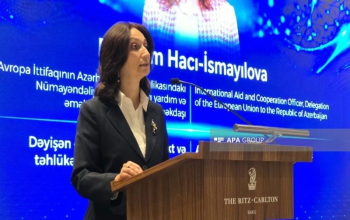 Представитель ЕС: Евросоюз ужесточает правовые требования в связи с рисками, связанными с ИИ