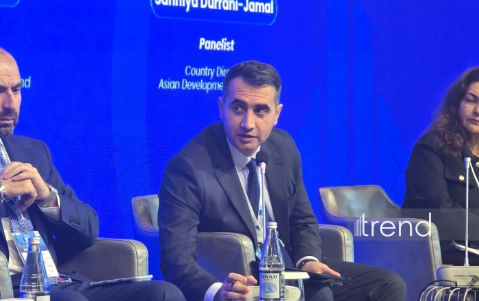 Azərbaycanda özəl investisiyaların cəlb edilməsi üçün institusional çərçivənin gücləndirilməsinə ehtiyac var - AYİB