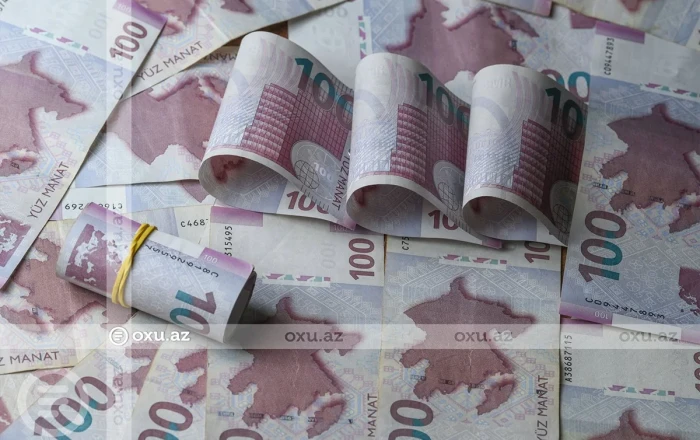 Dövlət borcunda diqqətçəkən dəyişiklik: Daxili xərclər azalır, xarici ödənişlər artır